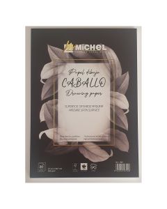 BLOC MICHEL PAPEL CABALLO SATINADO A4 250G 20H