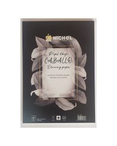 BLOC MICHEL PAPEL CABALLO SATINADO A3 250G 20H