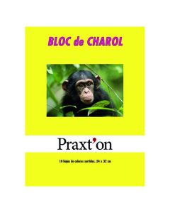 BLOC CHAROL PRAXTON COLORES 24X32 80G 10H PAQUETE 25UD
