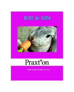 BLOC PAPEL SEDA PRAXTON 24X32 17G 10H PAQUETE 25UD