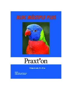 BLOC MANUALIDADES PRAXTON MULTIPLE PLUS 24X32 53H PAQUETE 10UD